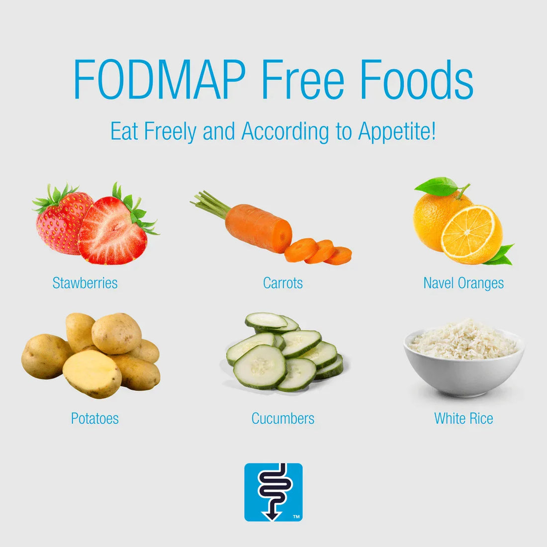 Your Low-FODMAP Diet Is Starving the Bacteria That Would Have Fixed Your Bloat