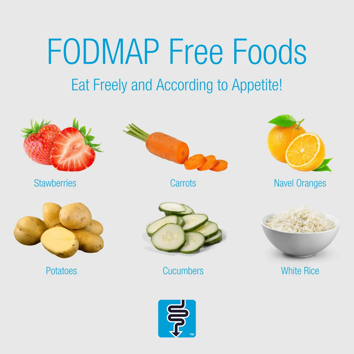 Your Low-FODMAP Diet Is Starving the Bacteria That Would Have Fixed Your Bloat